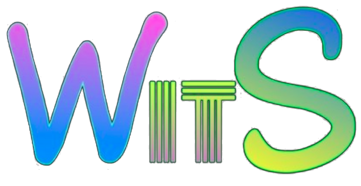 WitS logo